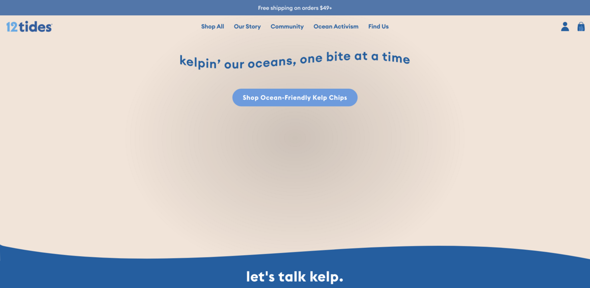 12 Tides kelp chips