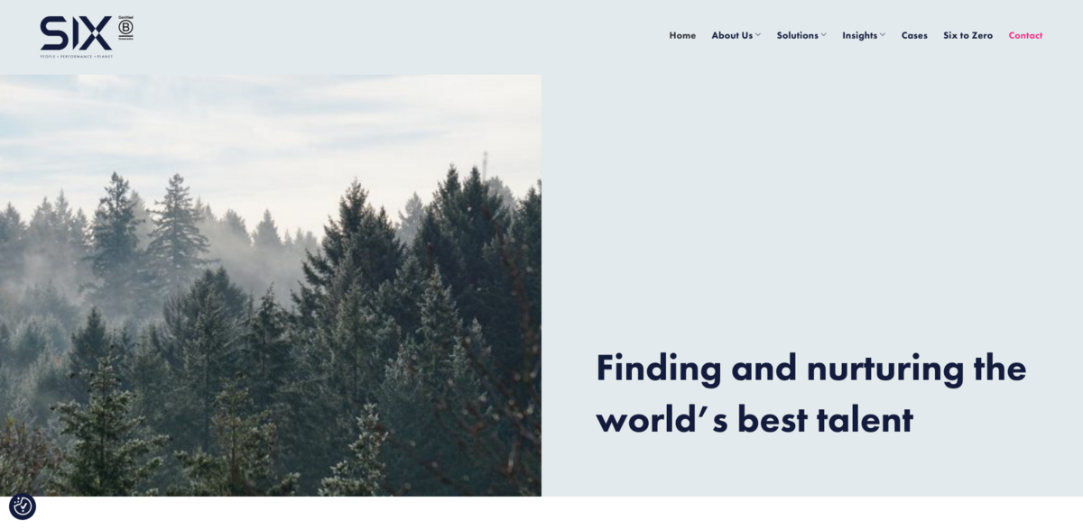 executive search consultancy