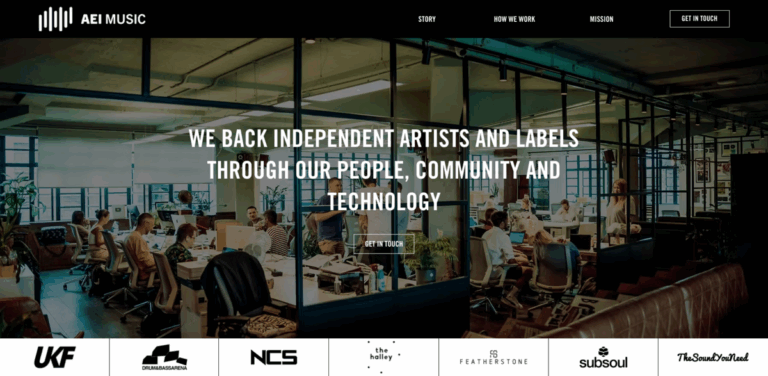 AEI Music: Empowering Independent Artists and Labels in Electronic Music