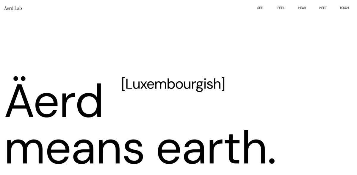 Äerd Lab clay bricks