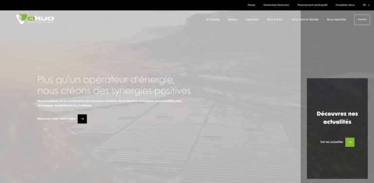 Akuo Energy: Leading Independent Renewable Energy Producer