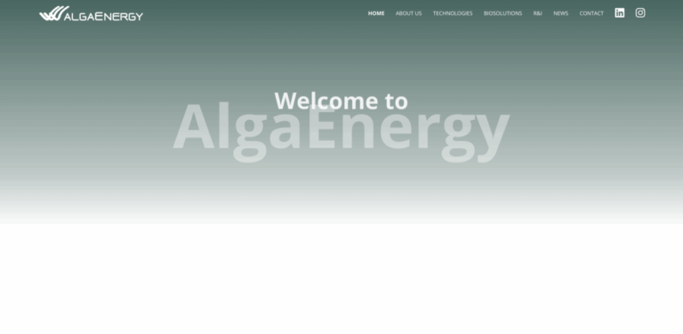 AlgaEnergy: Transforming Agriculture with Microalgae Solutions