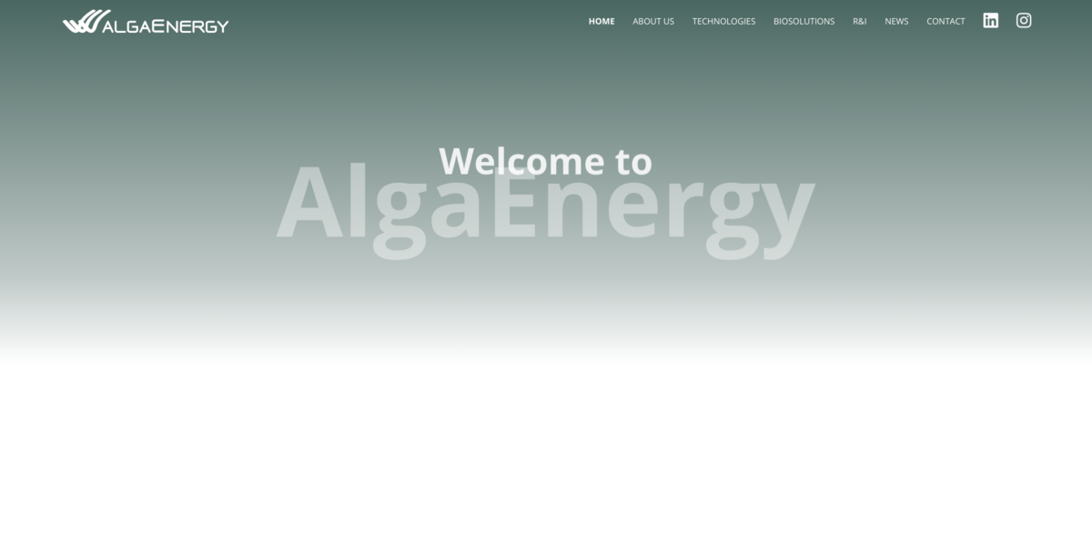 AlgaEnergy microalgae solutions