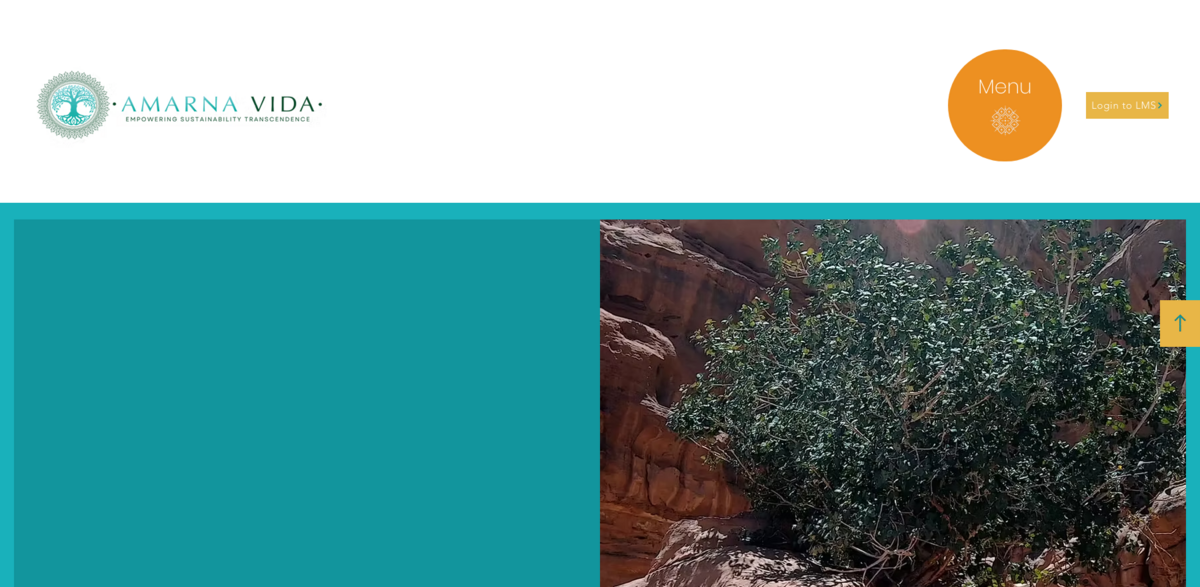 AMARNA Vida sustainability