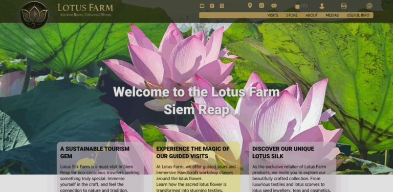 American English: The Ultimate Beatles Tribute Experience