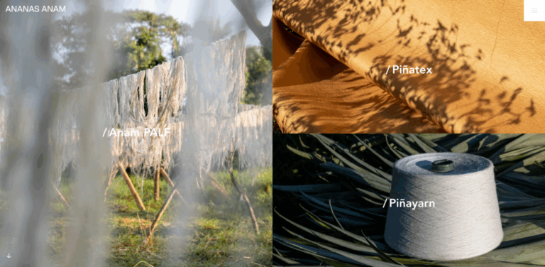 Ananas Anam: Transforming Pineapple Waste into Sustainable Textiles