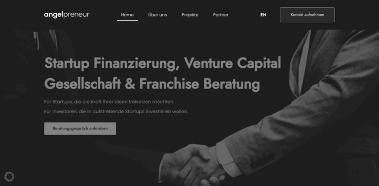Angelpreneur AG: Empowering Startups and Franchises with Tailored Support