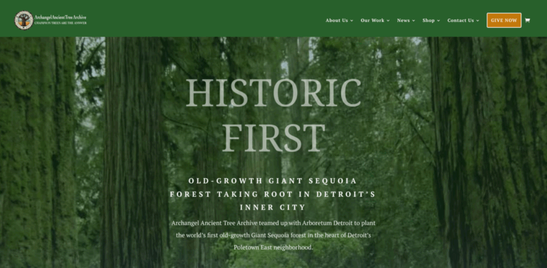 Archangel Ancient Tree Archive: Planting Ancient Sequoias in Detroit