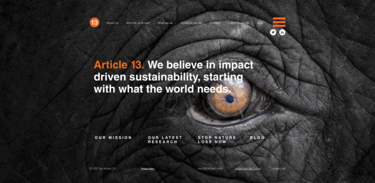Article13: A Consultancy Driving Impactful Sustainability Solutions