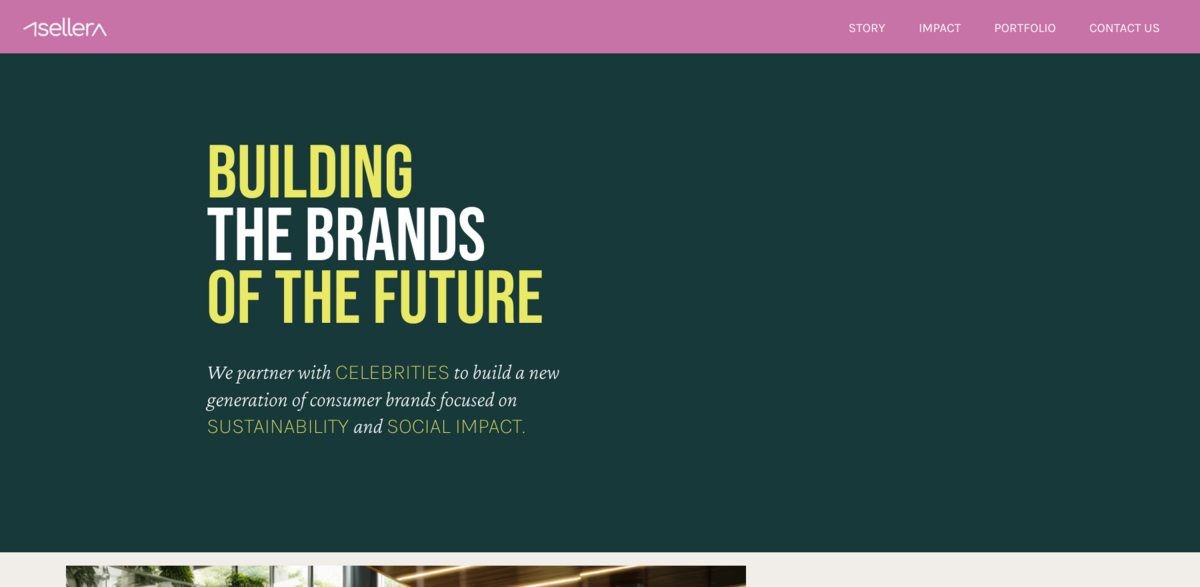 Asellera sustainable brands