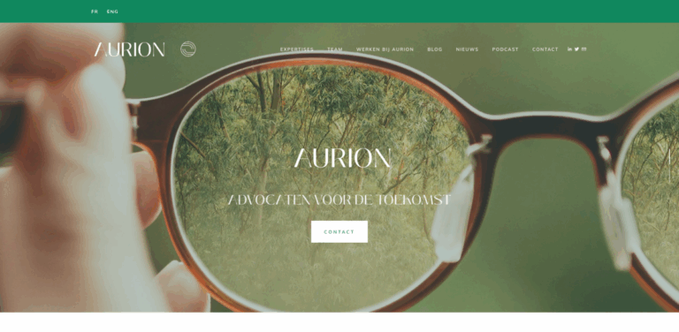 Aurion: Expert Legal Services for Sustainable Impact and Business Growth