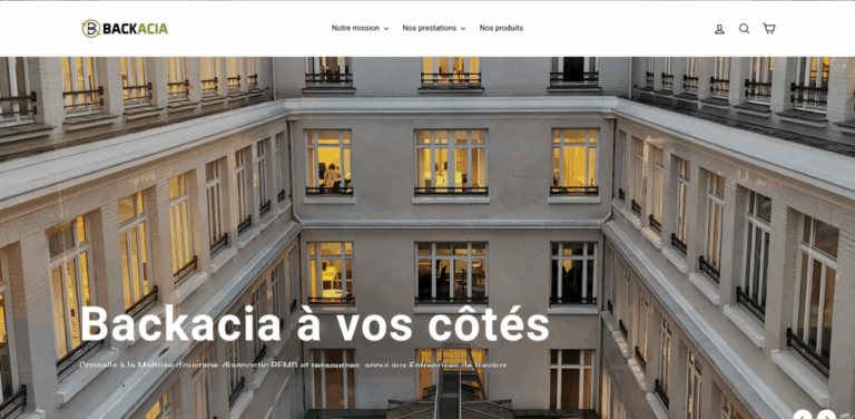 Backacia: Transforming Construction with Reused Building Materials