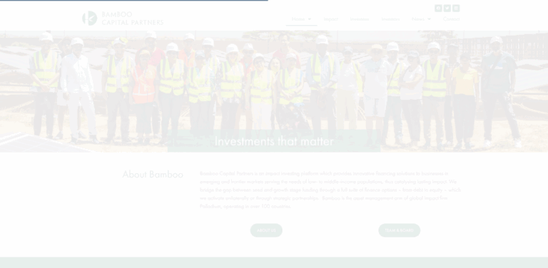 Bamboo Capital Partners: Impact Investing for Emerging Markets