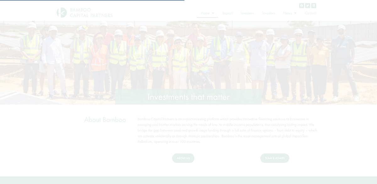 Bamboo Capital Partners