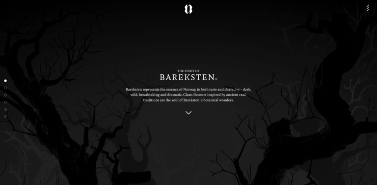 Bareksten: Capturing the Essence of Norwegian Botanical Spirits