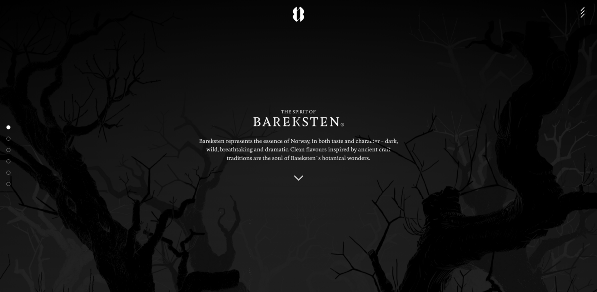 Bareksten Norwegian spirits