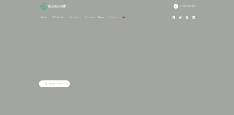 BDS Group: Maximizing Impact Through Strategic ESG Management