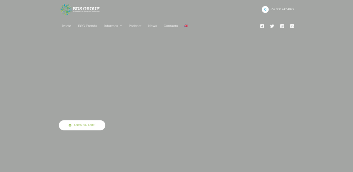 BDS Group ESG Management