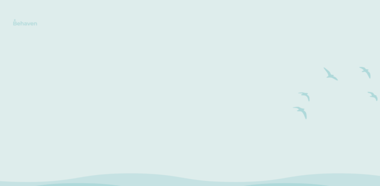 Behaven: A Consultancy for Sustainable Behaviour Change