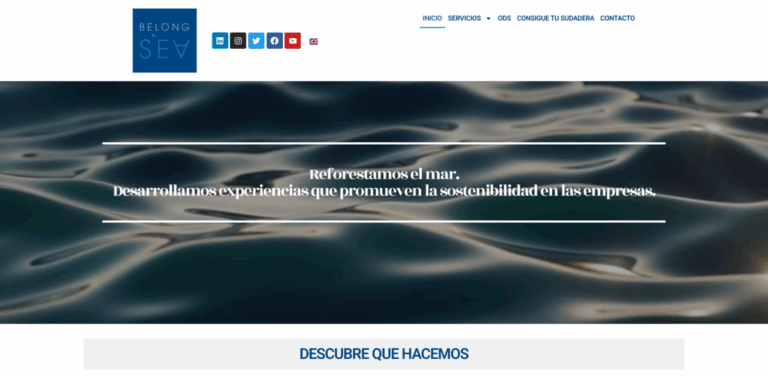 Belong to Sea: Boosting Marine Biodiversity Through Employee Engagement