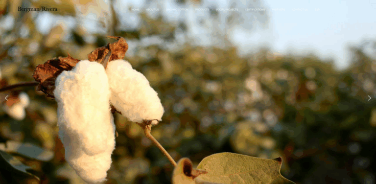 Bergman/Rivera: Organic Cotton Textiles Supporting Peruvian Families