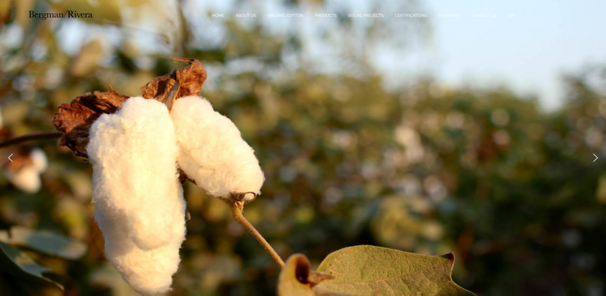Bergman Rivera organic cotton