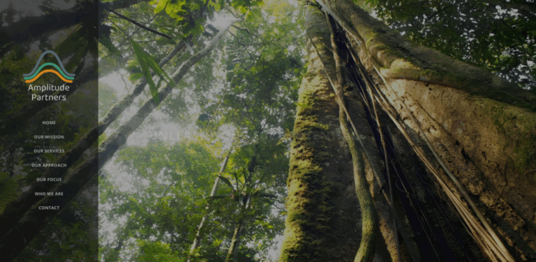 Bespoke Corporate Finance Advisory: Unlocking Business Potential Through Strategic Partnerships