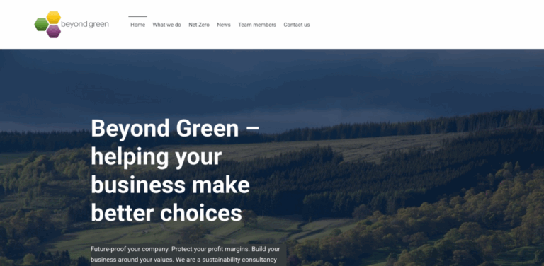 Beyond Green: A Consultancy for Sustainable Business Practices