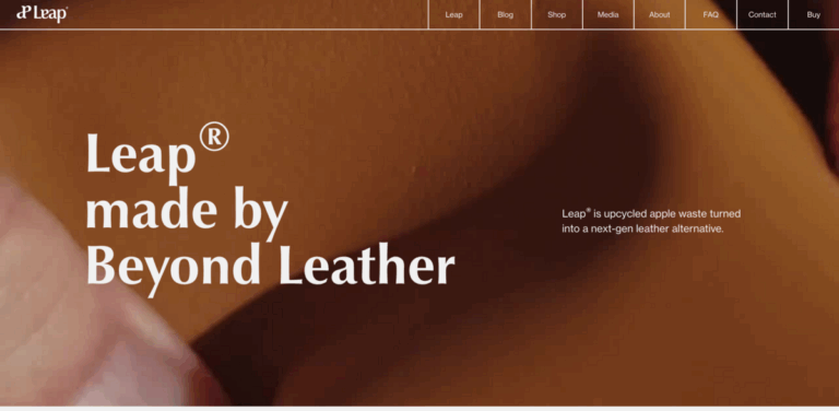 Beyond Leather: Transforming Apple Waste into Sustainable Leather Alternatives