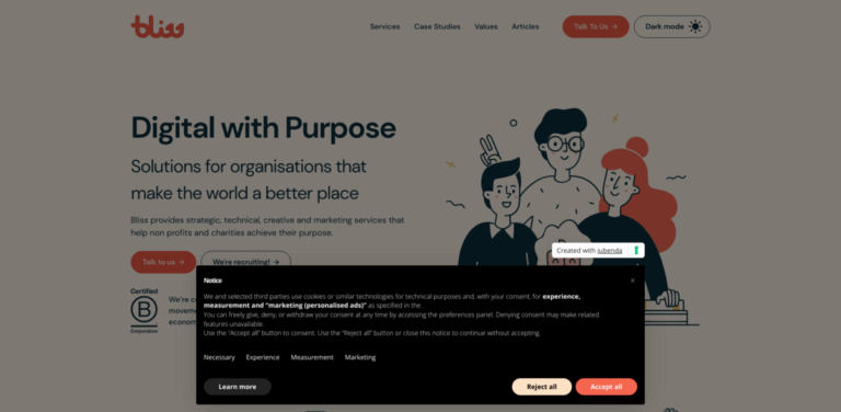 Bliss: Empowering Non-Profits with Strategic Digital Solutions