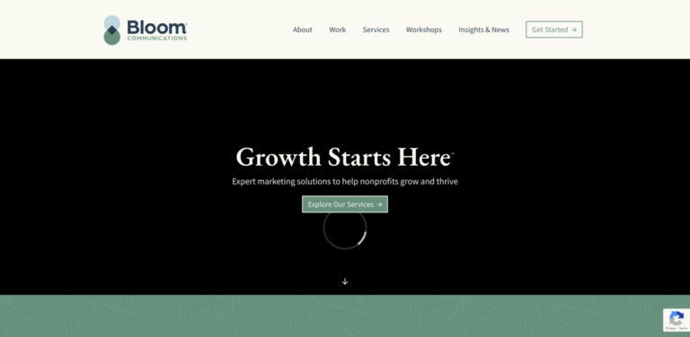 Bloom Communications: Tailored Marketing Solutions for Nonprofits