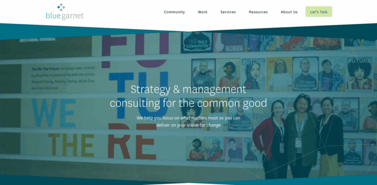 Blue Garnet: Strategy and Management Consulting for Social Change