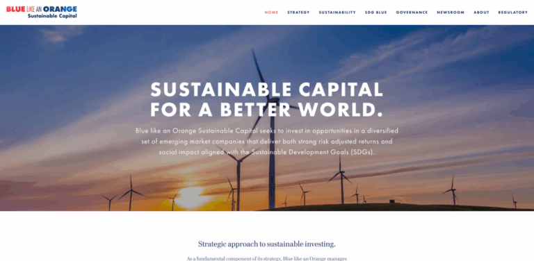 Blue like an Orange Sustainable Capital: Investing in Impactful Growth