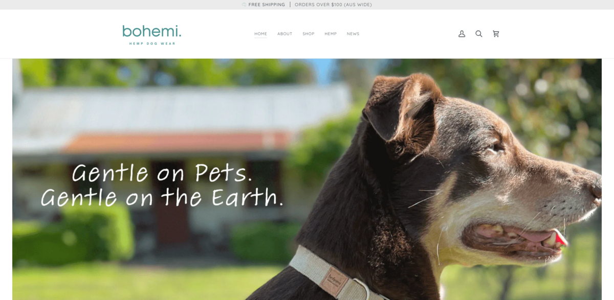Bohemi pet accessories