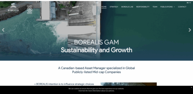 Borealis Global Asset Management: Focused on Sustainable Investment in Mid-Cap Companies