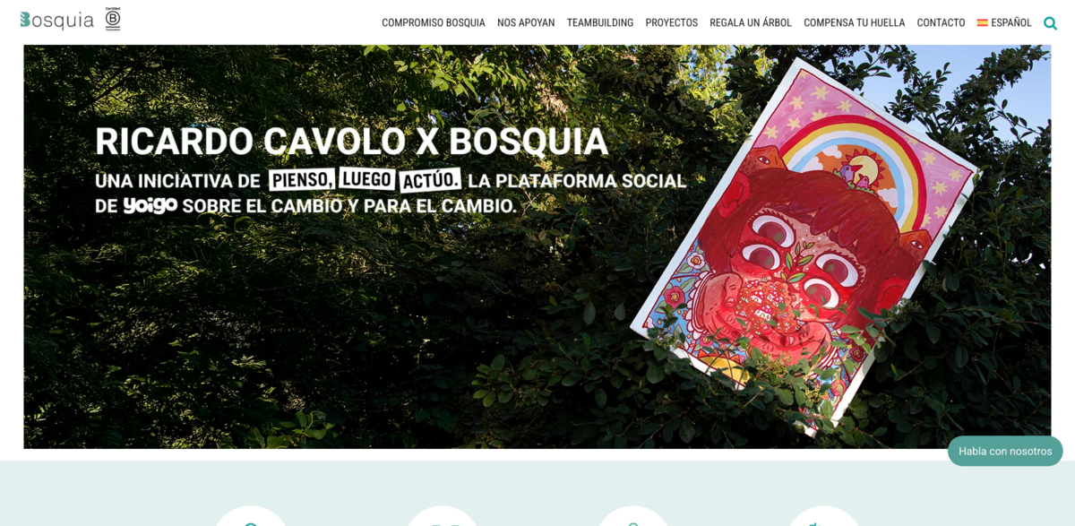 Bosquia sustainability initiatives