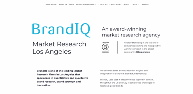 BrandIQ: Transforming Brands Through Innovative Market Research