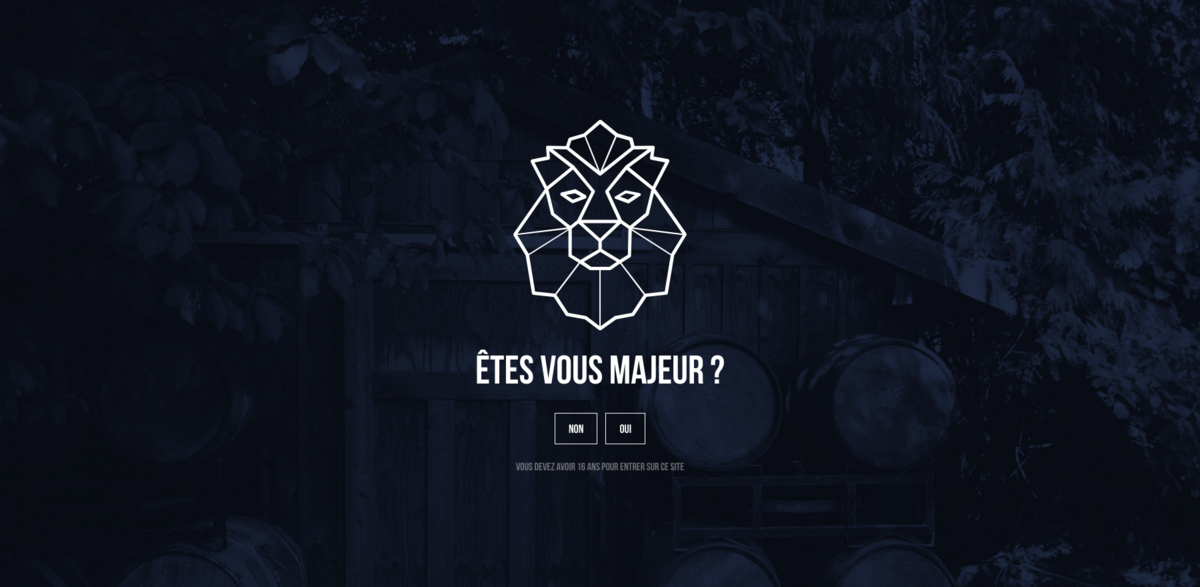 Brasserie Lion craft brewery