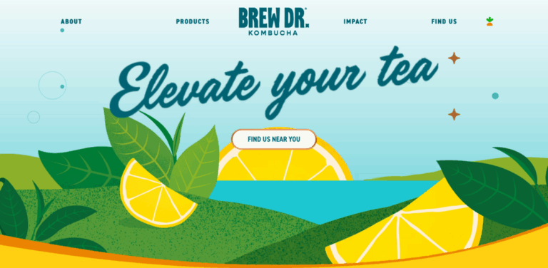 Brew Dr. Kombucha: Authentic, Organic Kombucha Crafted with Care