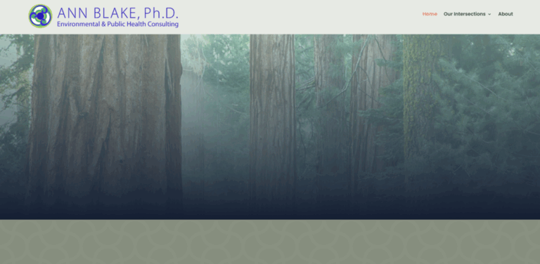 Building Regenerative Economies: Creating Sustainable Solutions for Communities