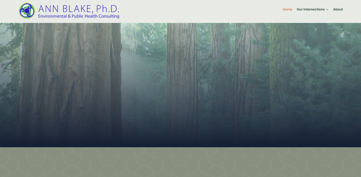 Building Regenerative Economies