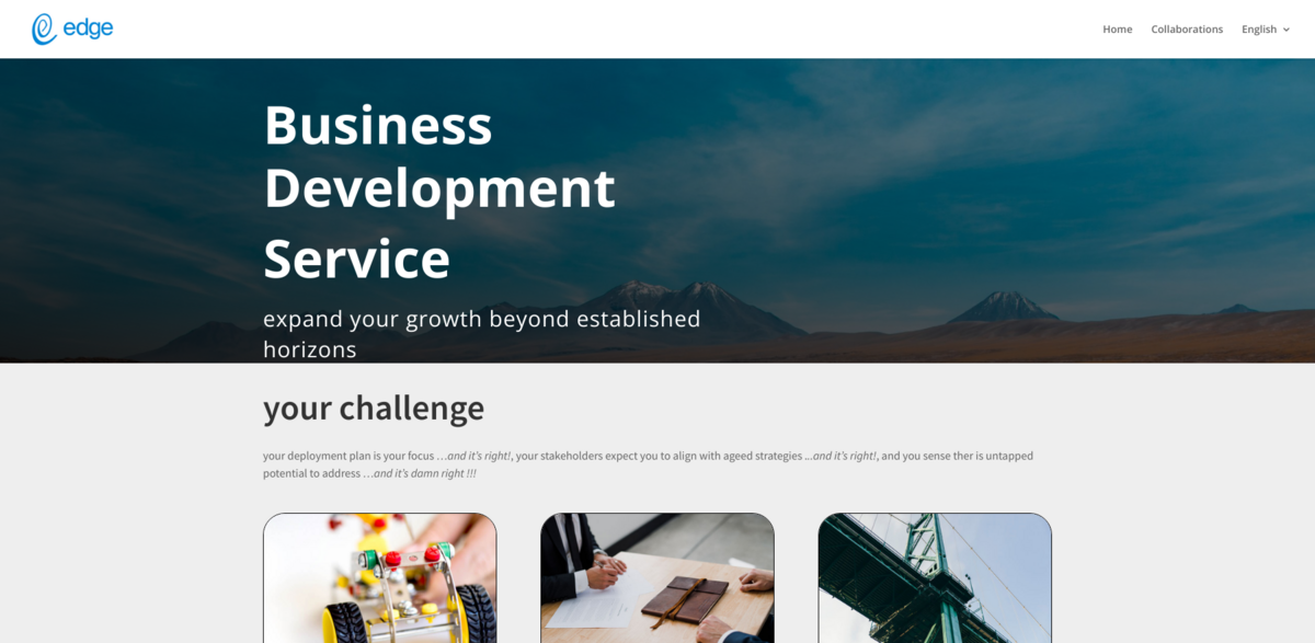 Business Development Service