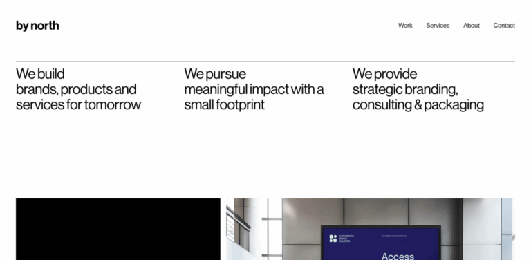 By North: Crafting Sustainable Brands, Products, and Services for the Future