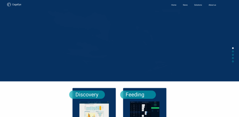 CageEye: Enhancing Fish Farming Through Hydroacoustic Technology