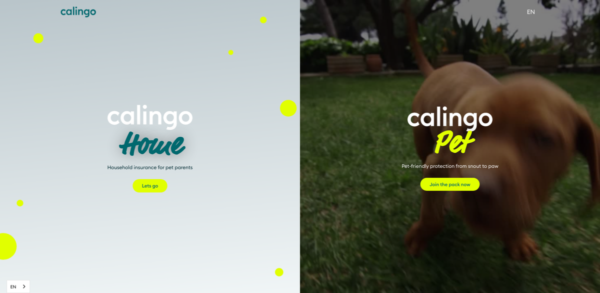 Calingo Pet Insurance