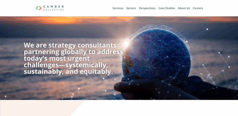 Camber Collective: Global Strategy Consulting for Systemic Change