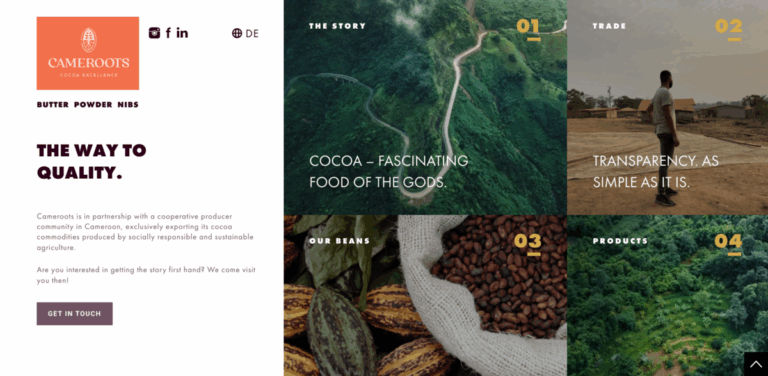 Cameroots: Sustainable Cocoa Sourced from Cameroon’s Cooperative Farmers