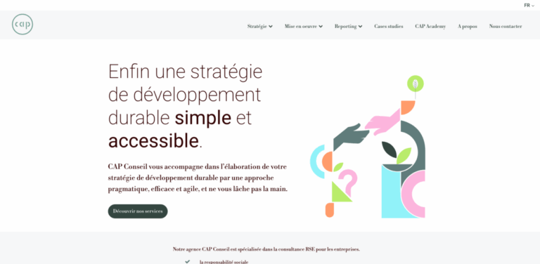CAP Conseil: Your Partner in Sustainable Development Strategies