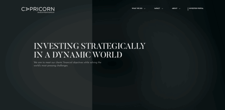 Capricorn LLC: Sustainable Investment Solutions for Impact-Driven Growth