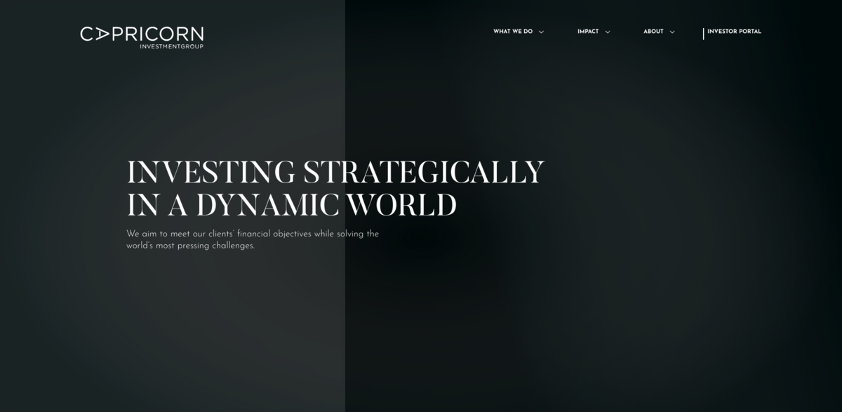 sustainable investing